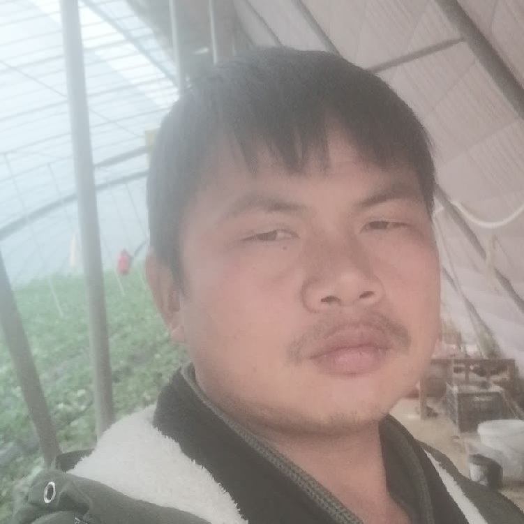 孤狼‘的第一张照片--建宁相亲网