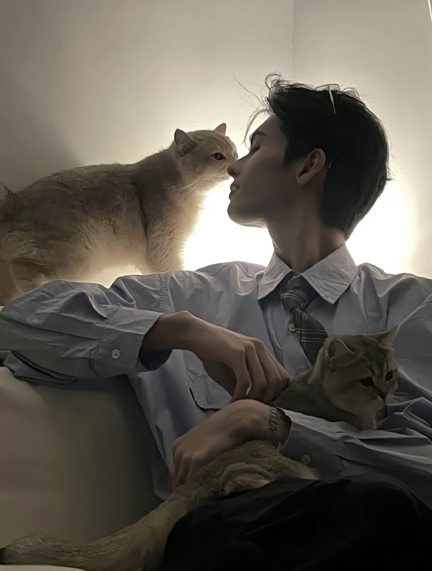 怪猫的第一张照片--建宁相亲网