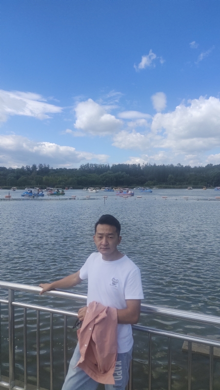 脱了壳的龟的第一张照片--建宁相亲网